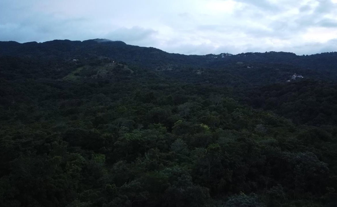 Seventh image of New Banks, Tanglewood in Ocho Rios, St. Ann, Jamaica - property is For Sale