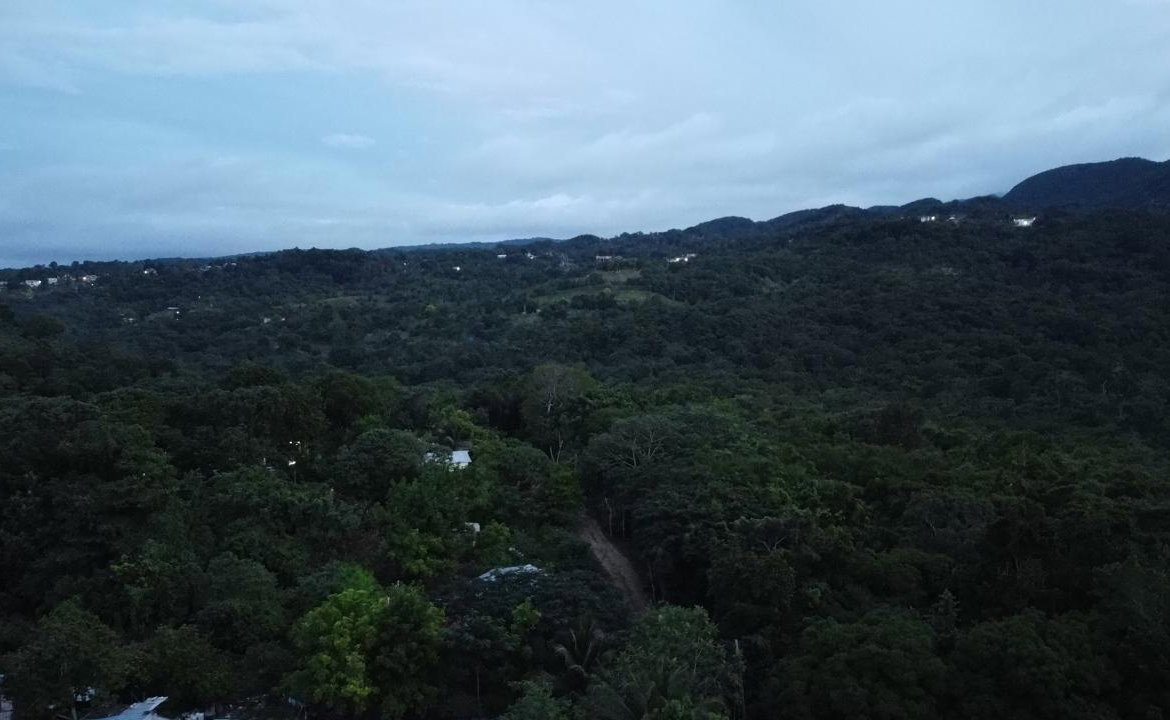 Eighth image of New Banks, Tanglewood in Ocho Rios, St. Ann, Jamaica - property is For Sale