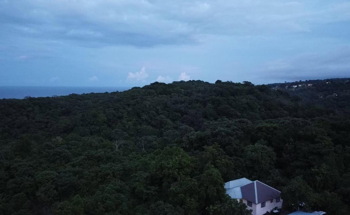 Ninth image of New Banks, Tanglewood in Ocho Rios, St. Ann, Jamaica - property is For Sale