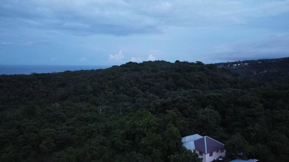 Ninth image of New Banks, Tanglewood in Ocho Rios, St. Ann, Jamaica - property is For Sale