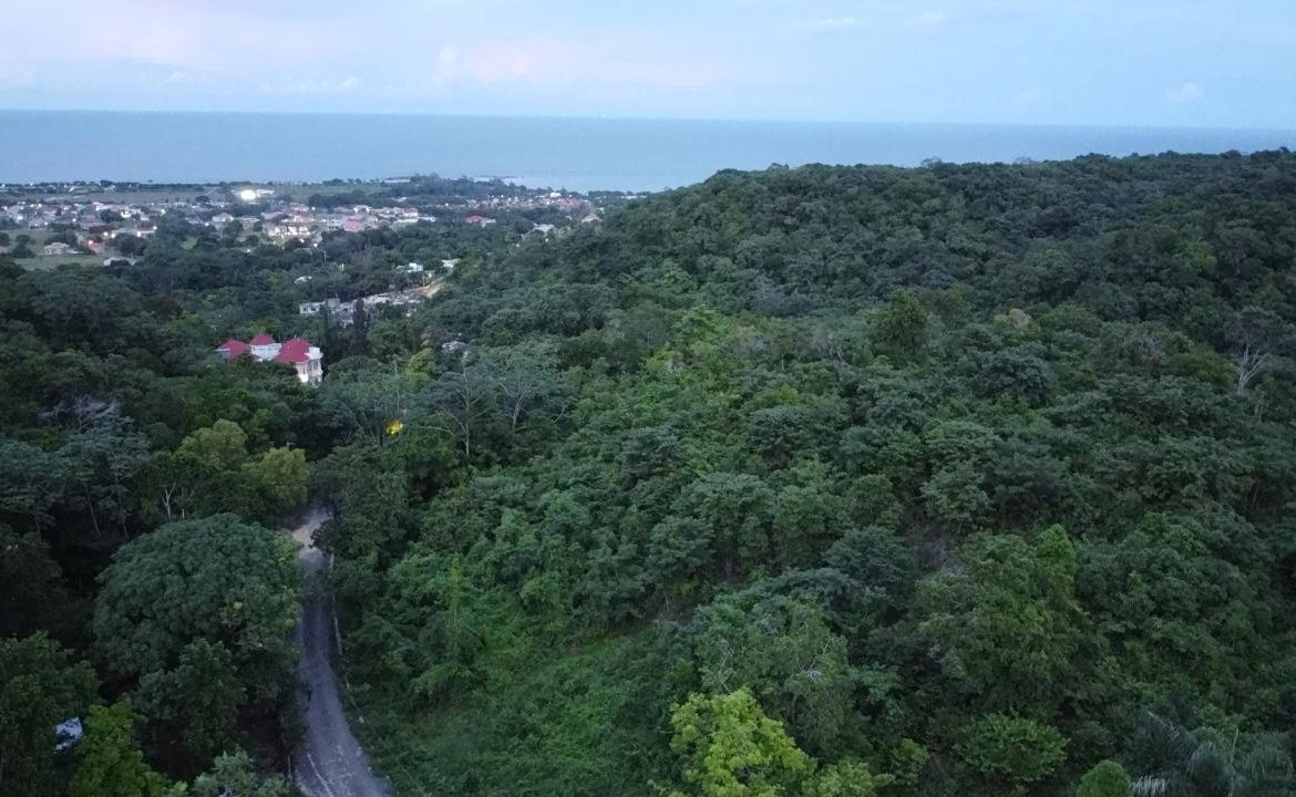 Tenth image of New Banks, Tanglewood in Ocho Rios, St. Ann, Jamaica - property is For Sale