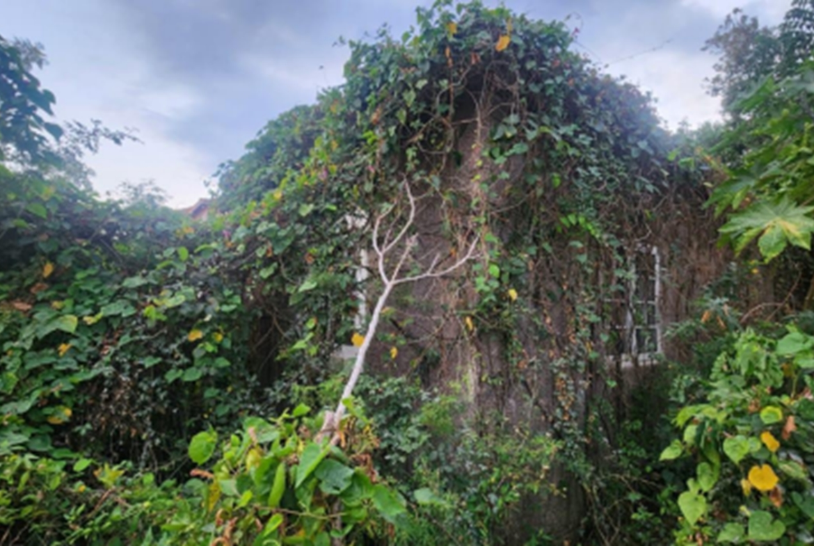 Fifth image of 7 Marley Street in Luana, St. Elizabeth, Jamaica - property is For Sale