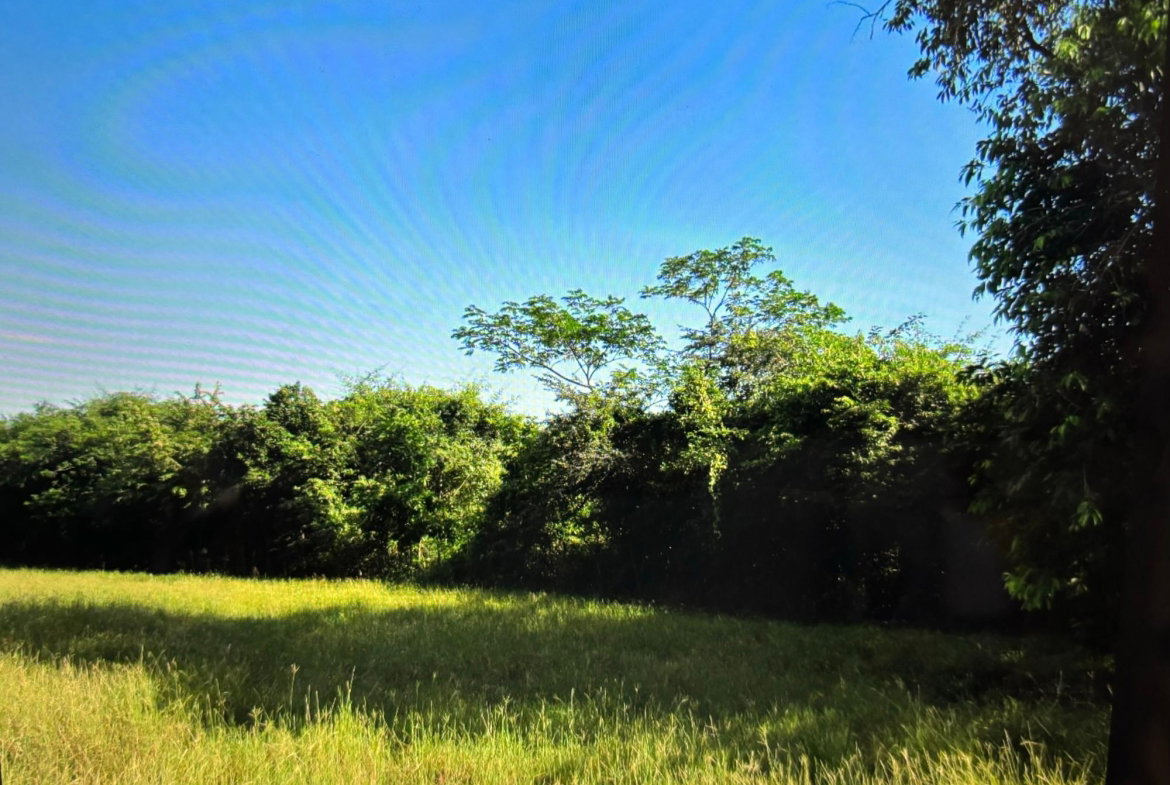 Second image of Green Park in Palmers Cross, Clarendon, Jamaica - property is For Sale