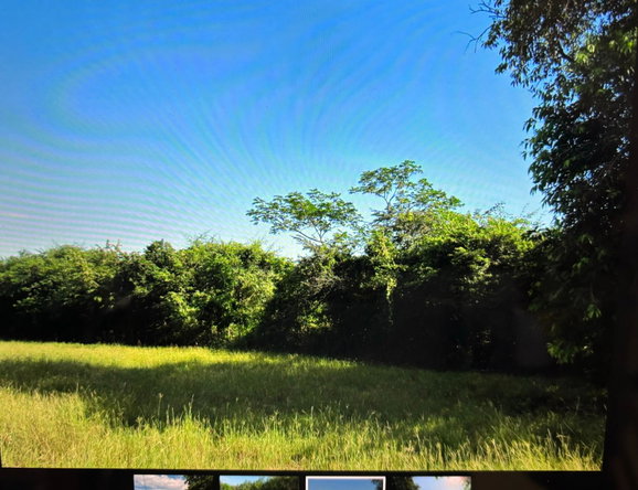Second image of Green Park in Palmers Cross, Clarendon, Jamaica - property is For Sale
