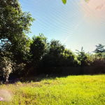 First image of Green Park in Palmers Cross, Clarendon, Jamaica - property is For Sale