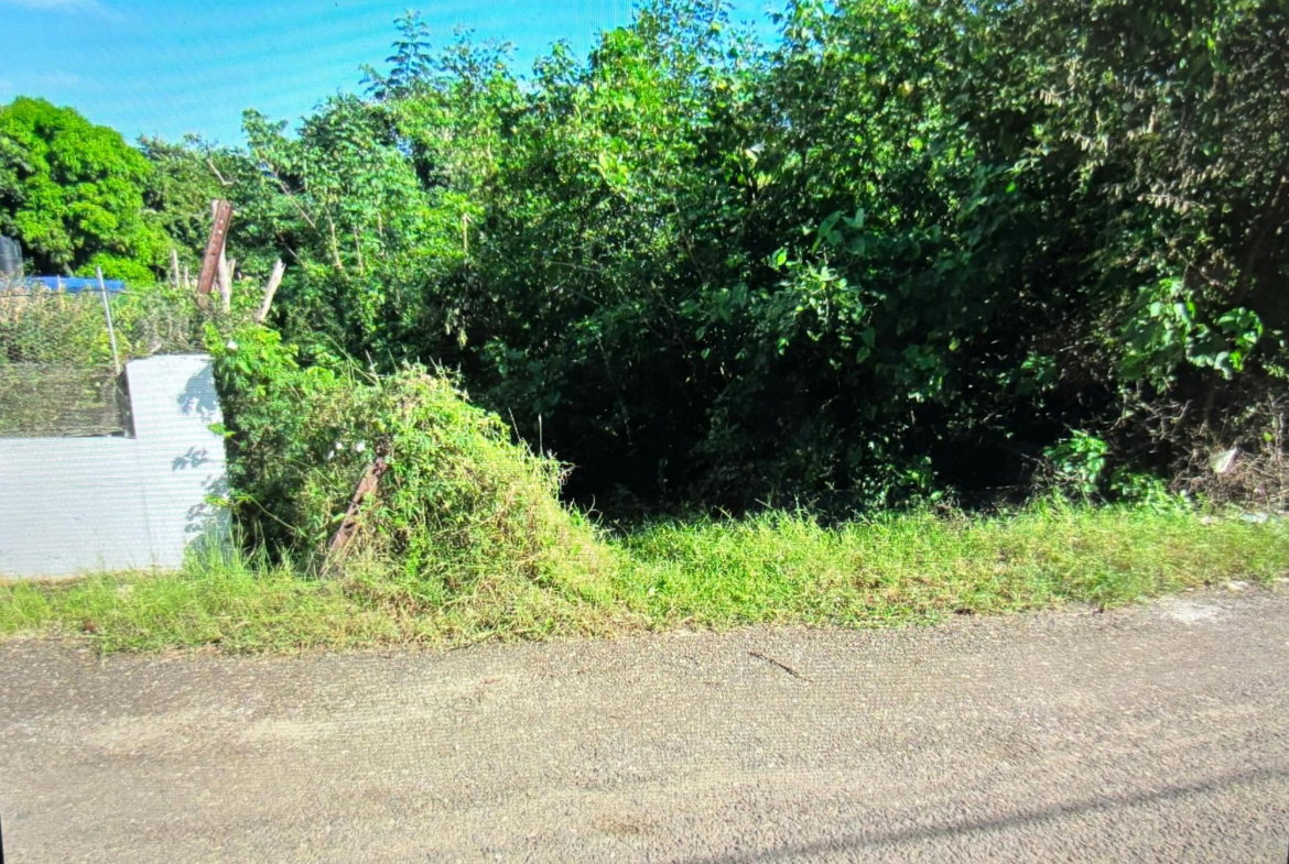 Third image of Green Park in Palmers Cross, Clarendon, Jamaica - property is For Sale