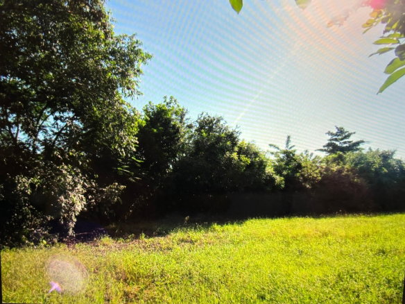 First image of Green Park in Palmers Cross, Clarendon, Jamaica - property is For Sale