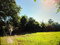 First image of Green Park in Palmers Cross, Clarendon, Jamaica - property is For Sale
