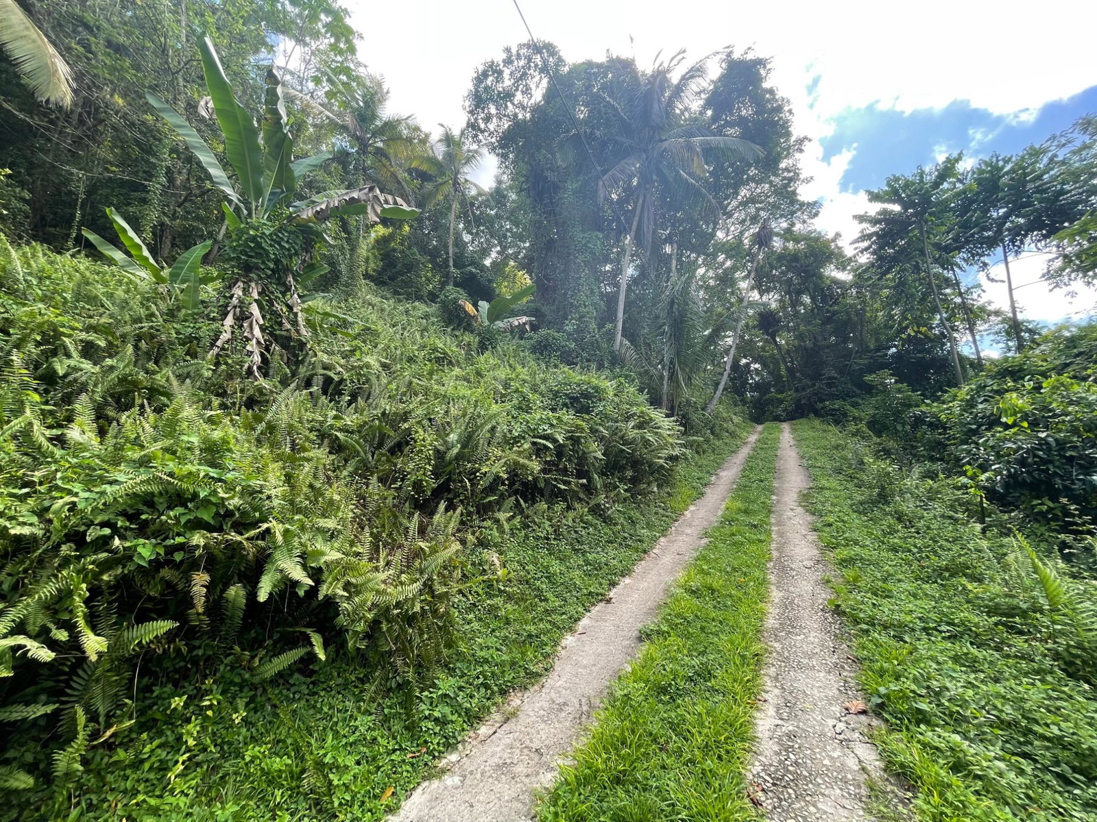 2.8-Acres-of-Scenic-Residential-Land-for-Sale-in-St.-James-Jamaica Second image of 2 Anchovy in Anchovy, St. James, Jamaica - property is For Sale