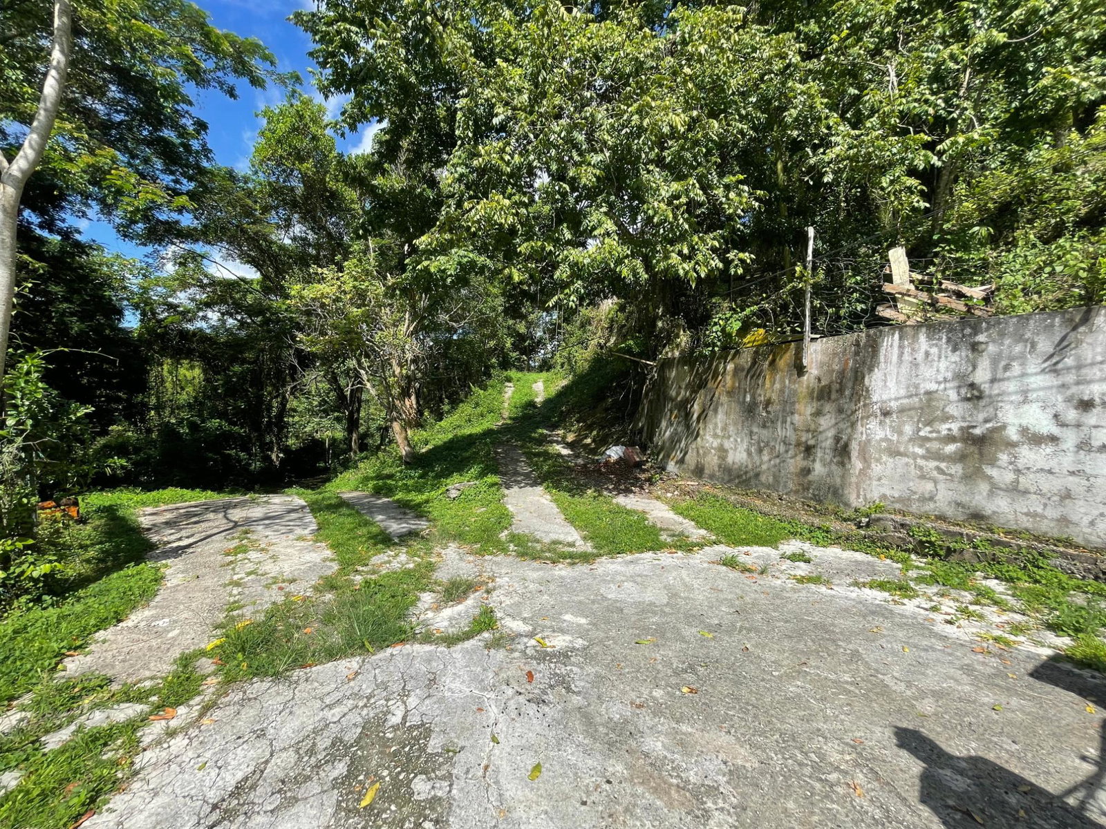 2.8-Acres-of-Scenic-Residential-Land-for-Sale-in-St.-James-Jamaica Third image of 2 Anchovy in Anchovy, St. James, Jamaica - property is For Sale