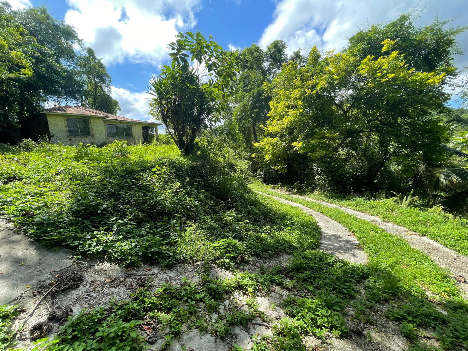 2.8-Acres-of-Scenic-Residential-Land-for-Sale-in-St.-James-Jamaica Fourth image of 2 Anchovy in Anchovy, St. James, Jamaica - property is For Sale