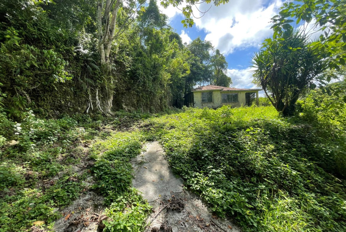 Fifth image of 2 Anchovy in Anchovy, St. James, Jamaica - property is For Sale