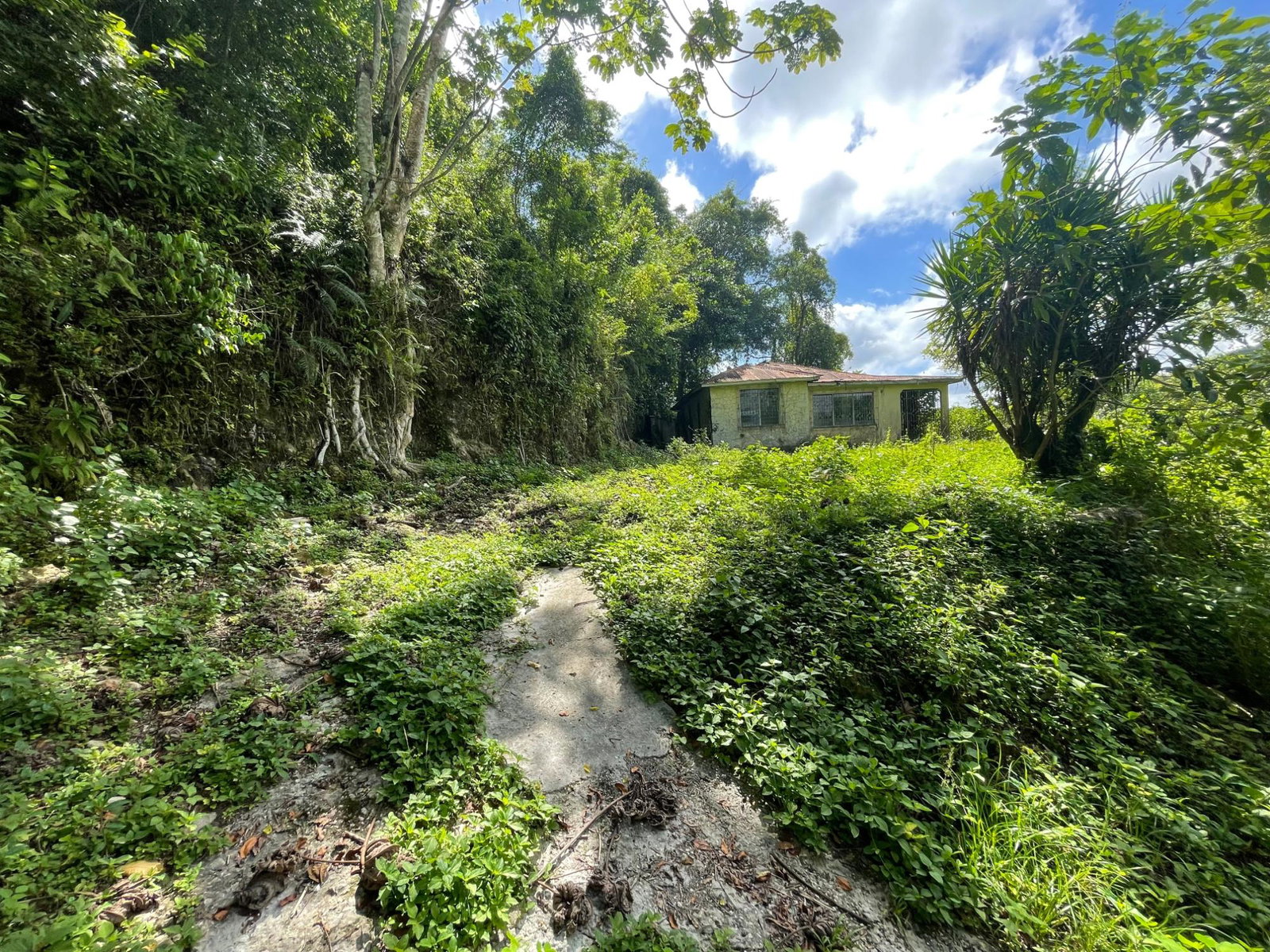 2.8-Acres-of-Scenic-Residential-Land-for-Sale-in-St.-James-Jamaica Fifth image of 2 Anchovy in Anchovy, St. James, Jamaica - property is For Sale