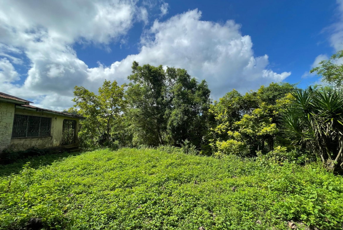 Sixth image of 2 Anchovy in Anchovy, St. James, Jamaica - property is For Sale