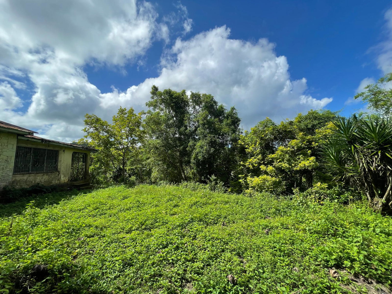 2.8-Acres-of-Scenic-Residential-Land-for-Sale-in-St.-James-Jamaica Sixth image of 2 Anchovy in Anchovy, St. James, Jamaica - property is For Sale
