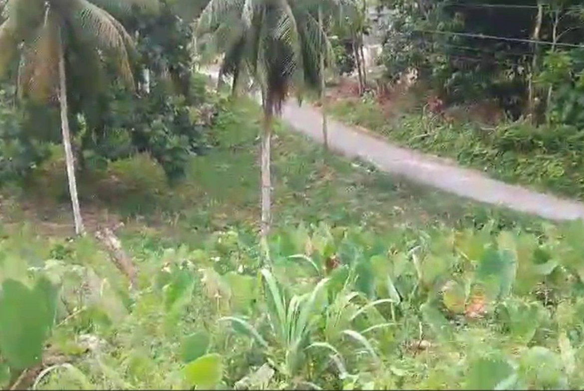 Second image of Reach, Portland in Reach, Portland, Jamaica - property is For Sale