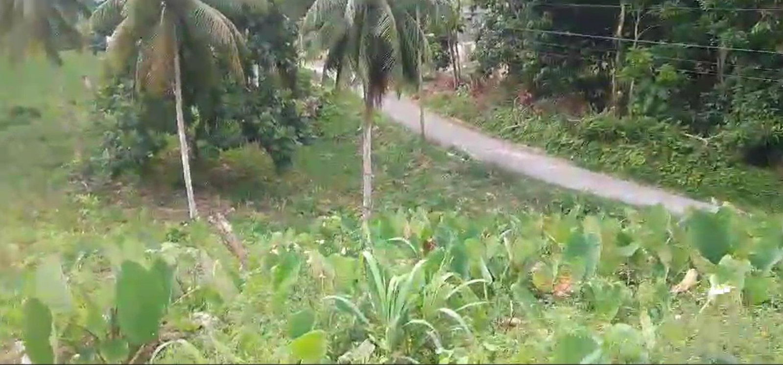 Second image of Reach, Portland in Reach, Portland, Jamaica - property is For Sale