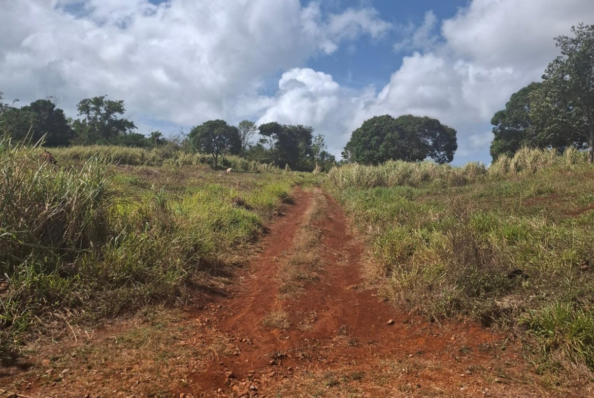 Second image of Cocoa Walk Cross Keys, Manchester in Cocoa Walk, Manchester, Jamaica - property is For Sale