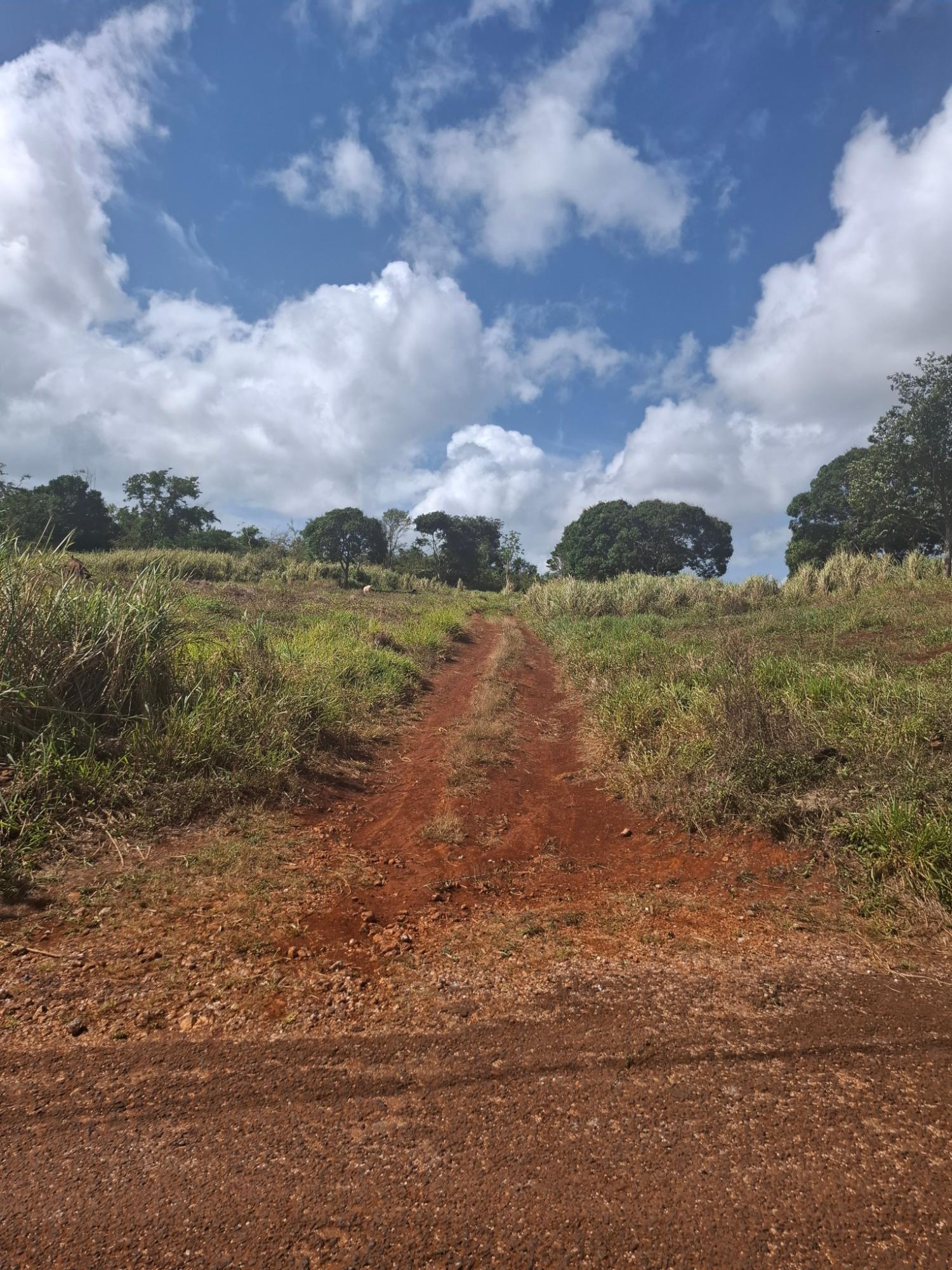 Second image of Cocoa Walk Cross Keys, Manchester in Cocoa Walk, Manchester, Jamaica - property is For Sale