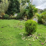First image of 286 Cedar Cresent in St. Ann's Bay, St. Ann, Jamaica - property is For Rent