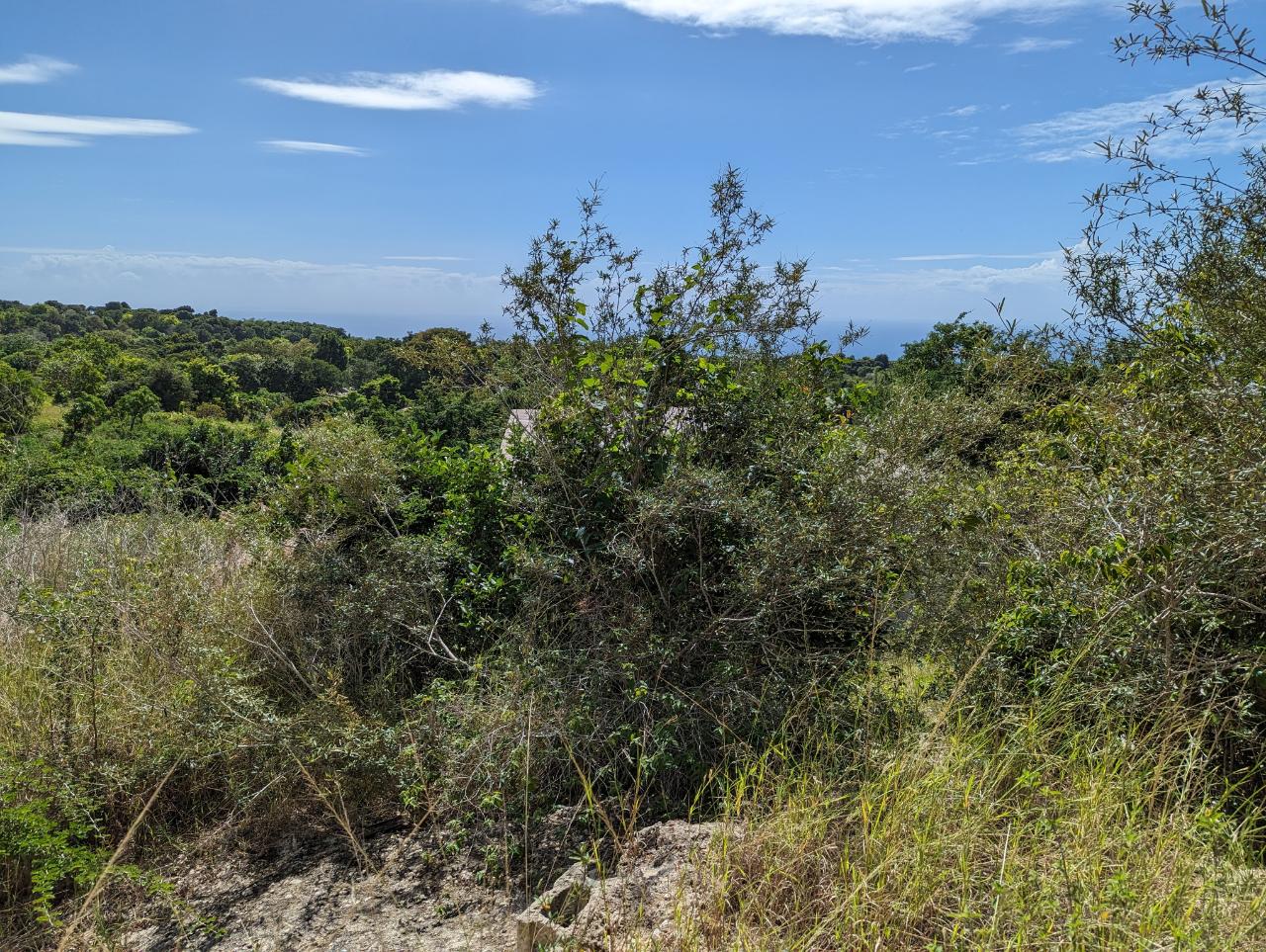 Seventeenth image of Marley Hill District, Cro in Cross Keys, Manchester, Jamaica - property is For Sale