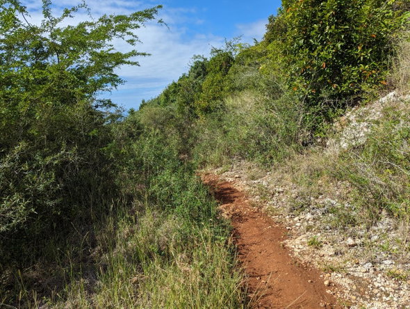 Eighteenth image of Marley Hill District, Cro in Cross Keys, Manchester, Jamaica - property is For Sale