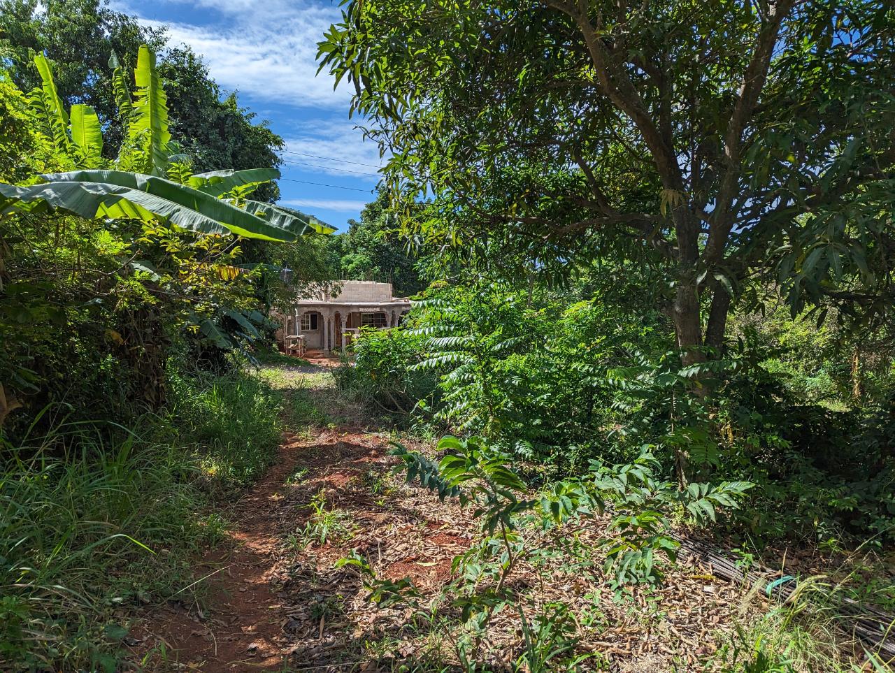 Nineteenth image of Marley Hill District, Cro in Cross Keys, Manchester, Jamaica - property is For Sale