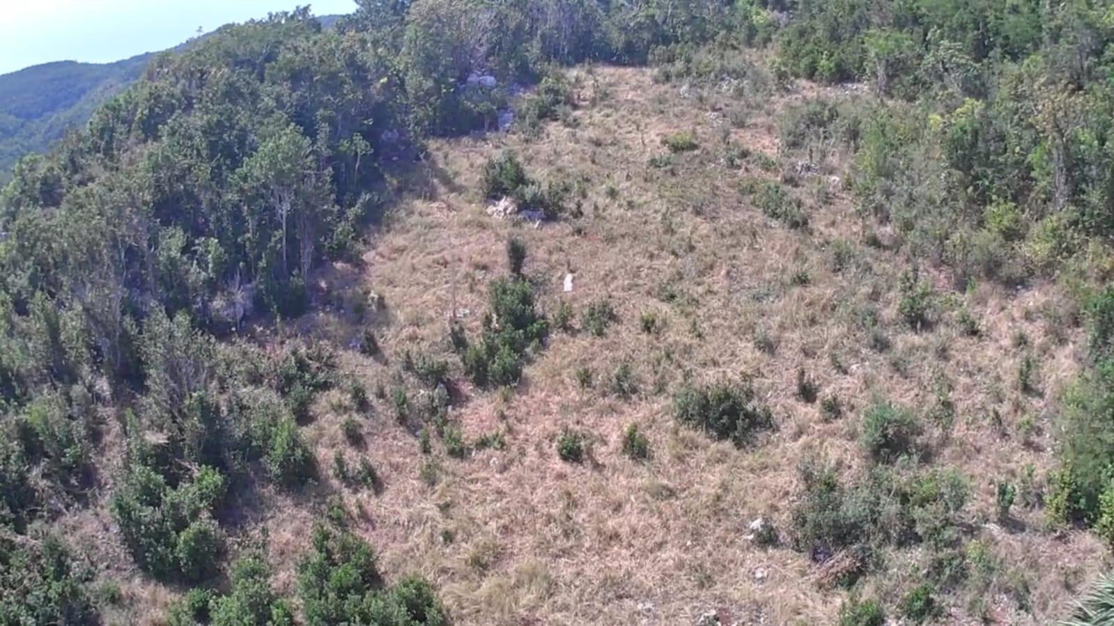 Twenty-Third image of Marley Hill District, Cro in Cross Keys, Manchester, Jamaica - property is For Sale