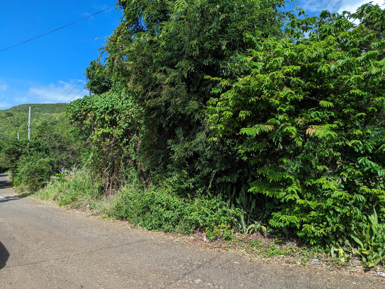 Fifth image of Marley Hill District, Cro in Cross Keys, Manchester, Jamaica - property is For Sale