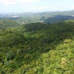 First image of Glendale Heights, Sign in Montego Bay, St. James, Jamaica - property is For Sale