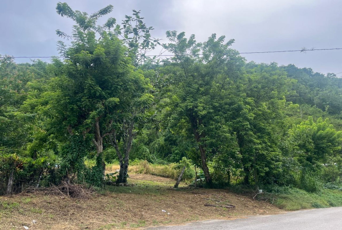 Fourth image of Land Part of New Savannah in New Market, St. Elizabeth, Jamaica - property is For Sale