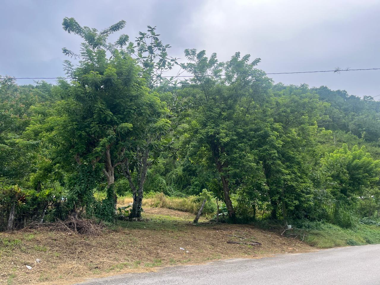 Fourth image of Land Part of New Savannah in New Market, St. Elizabeth, Jamaica - property is For Sale