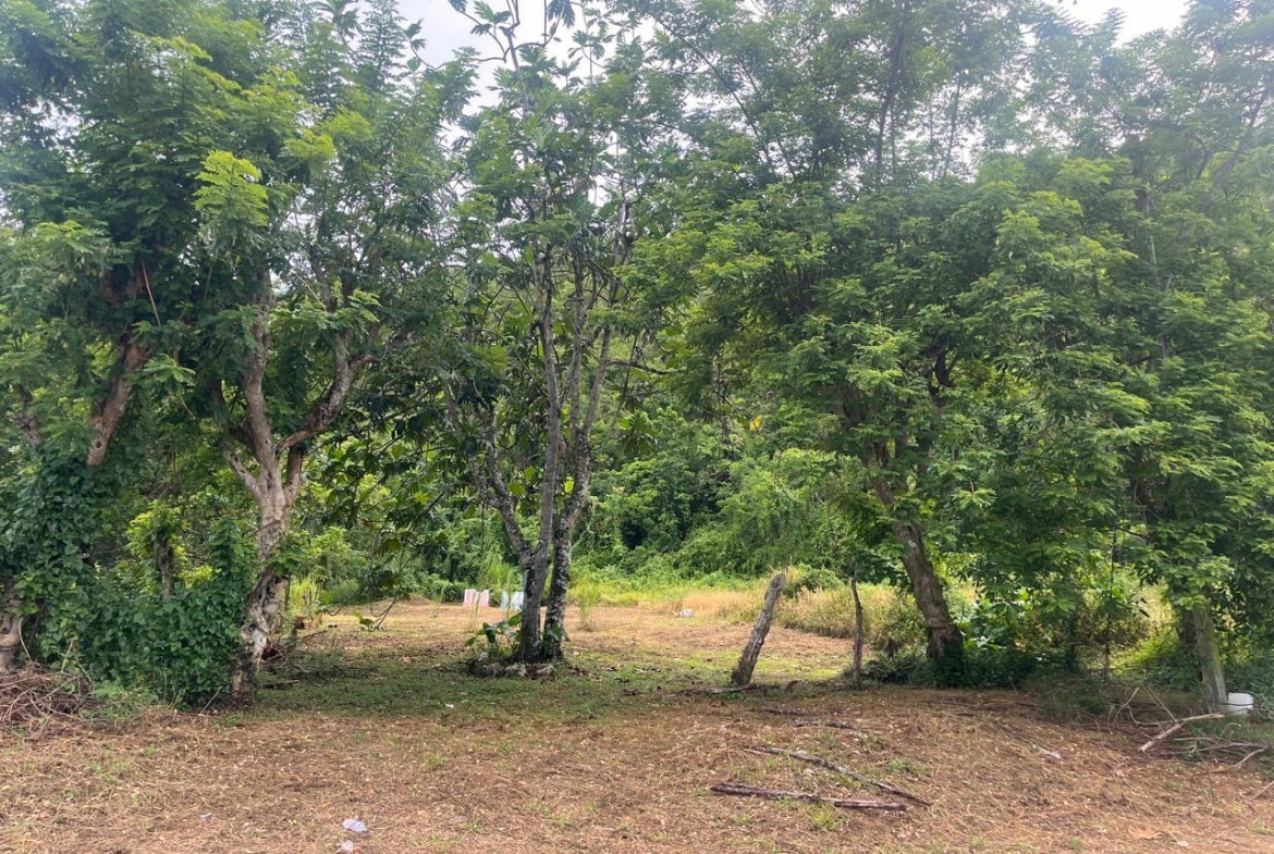 Sixth image of Land Part of New Savannah in New Market, St. Elizabeth, Jamaica - property is For Sale