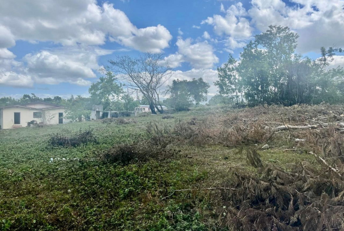 Twenty-First image of Longwood, Santa Cruz in Santa Cruz, St. Elizabeth, Jamaica - property is For Sale