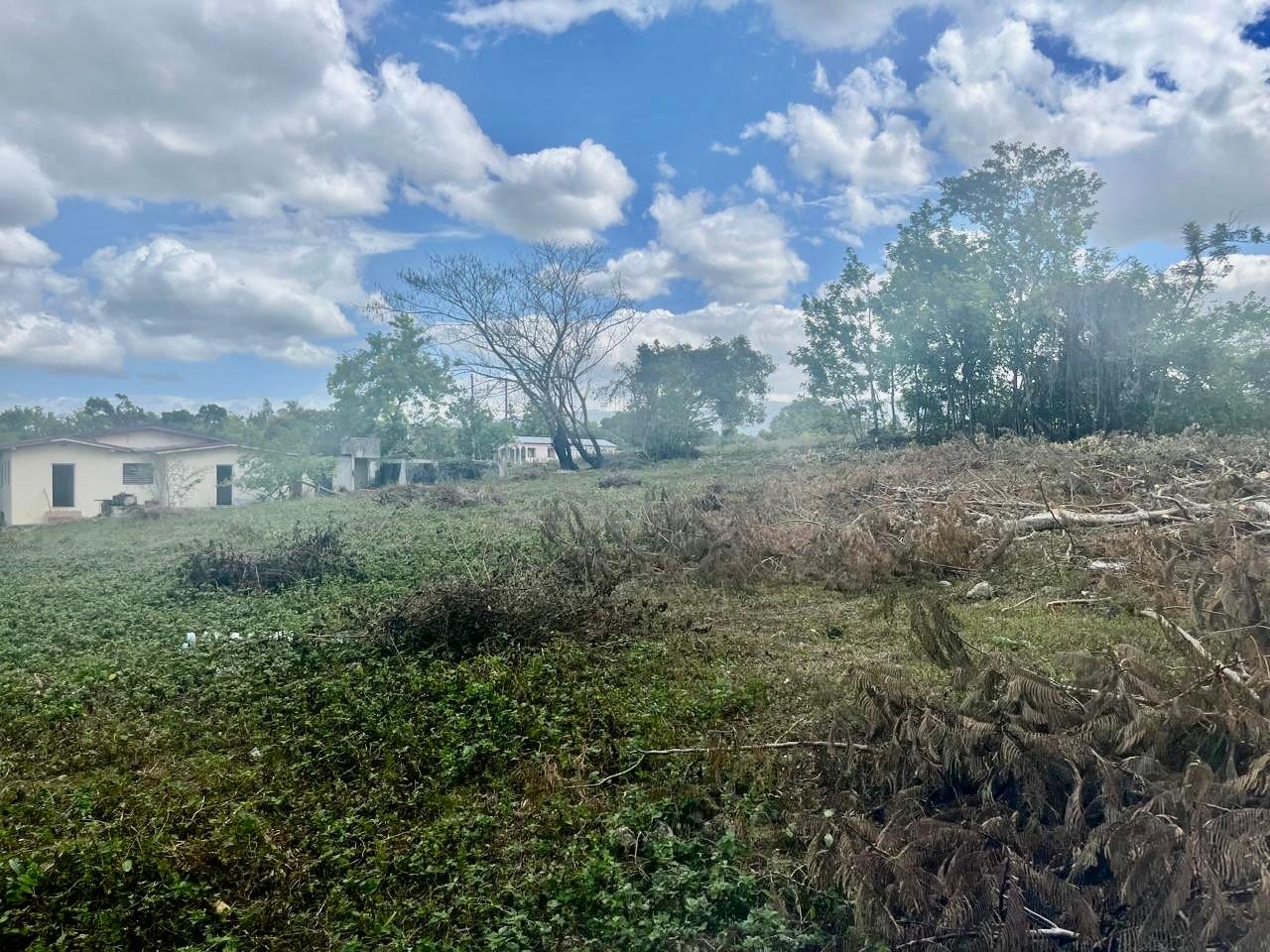 4-Bedroom-Fixer-Upper-in-Longwood-St.-Elizabeth-Prime-Development-Opportunity Twenty-First image of Longwood, Santa Cruz in Santa Cruz, St. Elizabeth, Jamaica - property is For Sale