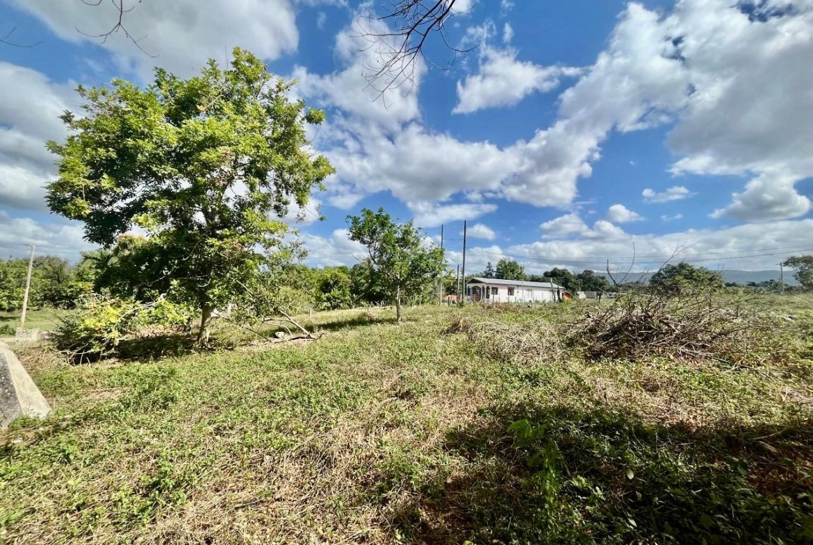 Twenty-Second image of Longwood, Santa Cruz in Santa Cruz, St. Elizabeth, Jamaica - property is For Sale