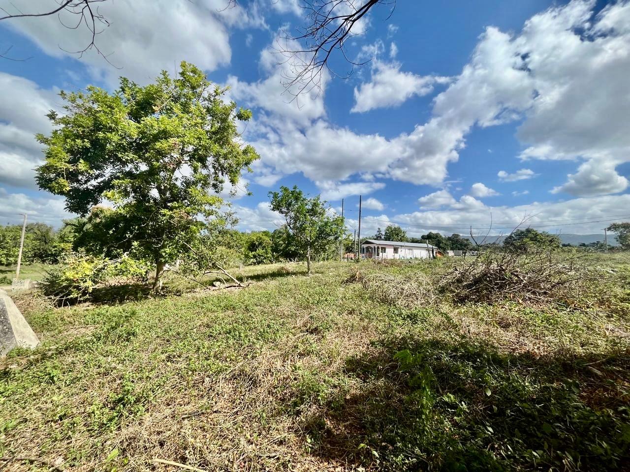 4-Bedroom-Fixer-Upper-in-Longwood-St.-Elizabeth-Prime-Development-Opportunity Twenty-Second image of Longwood, Santa Cruz in Santa Cruz, St. Elizabeth, Jamaica - property is For Sale