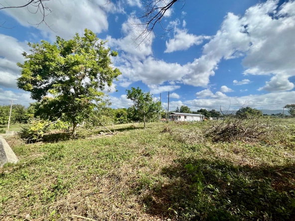 Twenty-Second image of Longwood, Santa Cruz in Santa Cruz, St. Elizabeth, Jamaica - property is For Sale