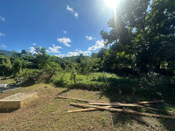 Fourth image of Part of Goshen in Goshen, St. Elizabeth, Jamaica - property is For Sale
