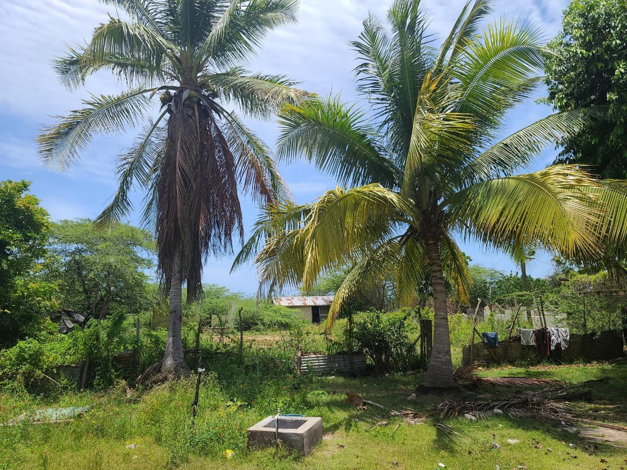 4-Bedroom-House-for-Sale-in-Old-Harbour-Bay-St.-Catherine Twenty-Seventh image of Narine Lane in Old Harbour Bay, St. Catherine, Jamaica - property is For Sale
