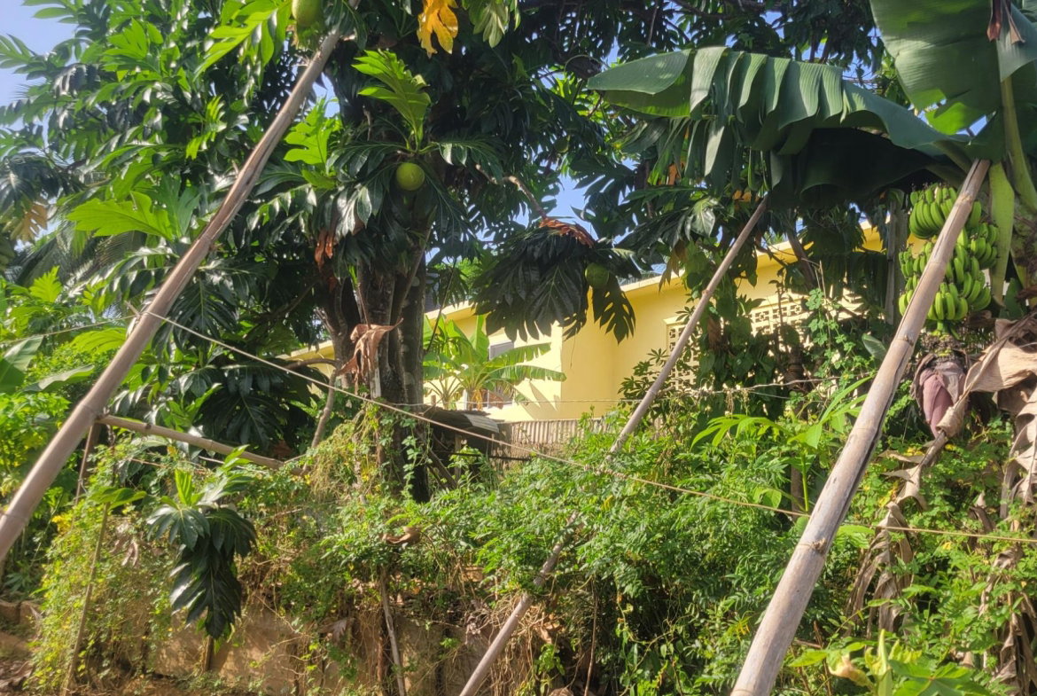 Twelfth image of 9 Rosemount Avenue in Linstead, St. Catherine, Jamaica - property is For Sale