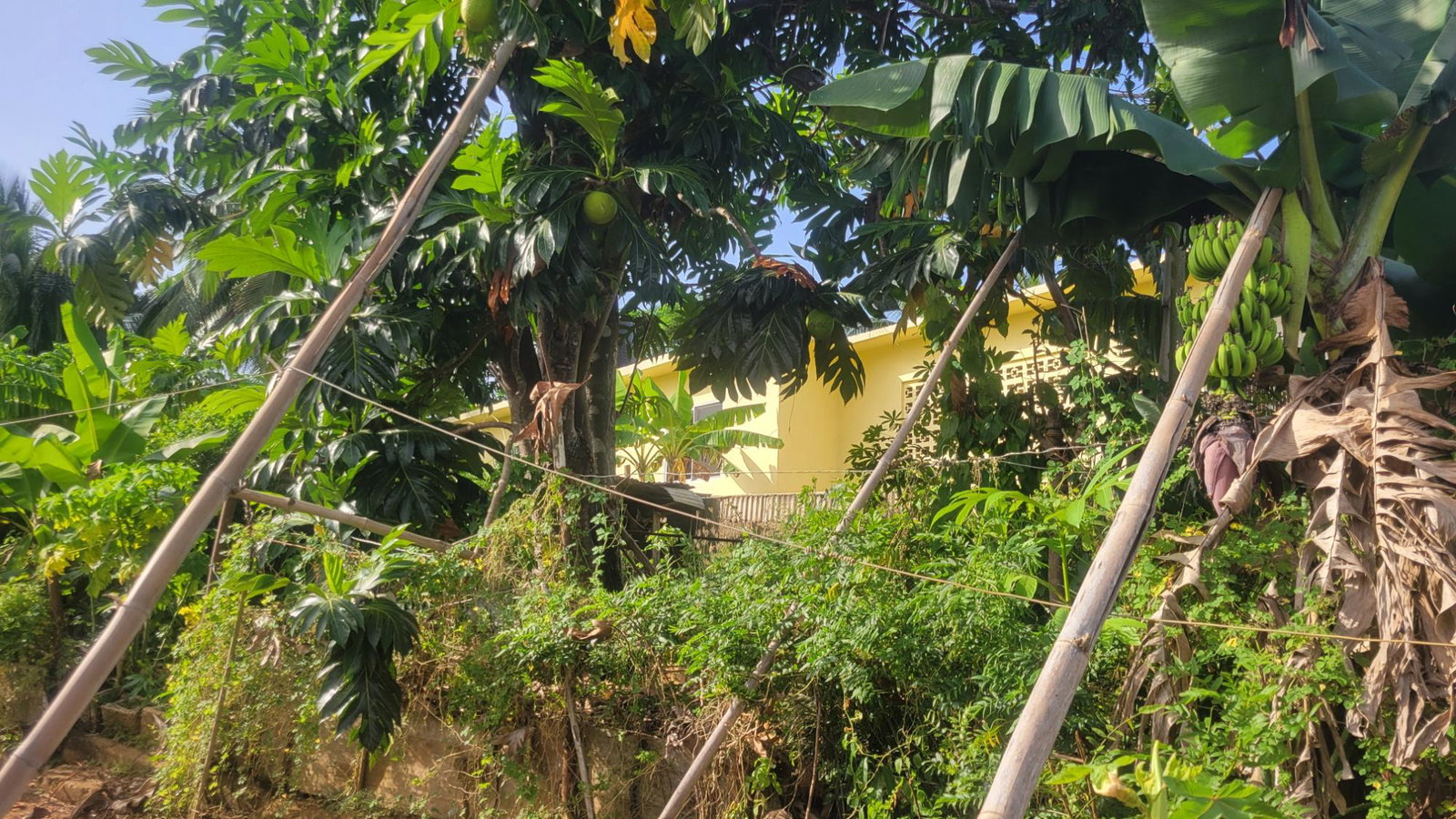 4-Bedroom-House-for-Sale-in-Rosemount-Housing-Scheme-Linstead Twelfth image of 9 Rosemount Avenue in Linstead, St. Catherine, Jamaica - property is For Sale