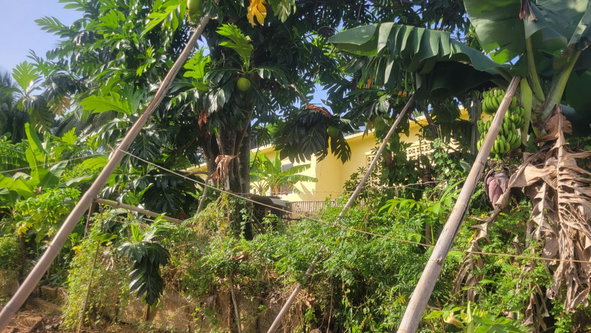 Twelfth image of 9 Rosemount Avenue in Linstead, St. Catherine, Jamaica - property is For Sale