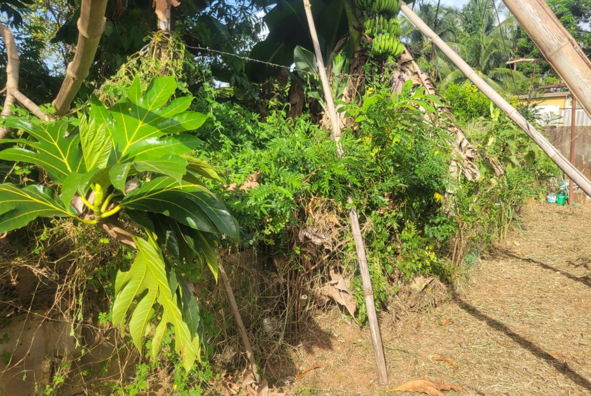 Tenth image of 9 Rosemount Avenue in Linstead, St. Catherine, Jamaica - property is For Sale