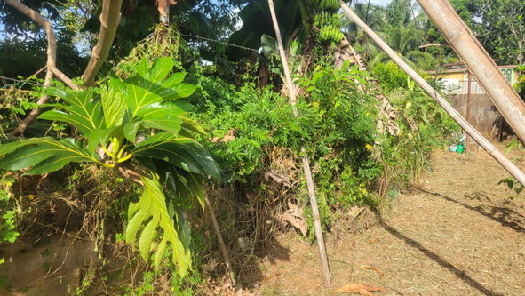 Tenth image of 9 Rosemount Avenue in Linstead, St. Catherine, Jamaica - property is For Sale