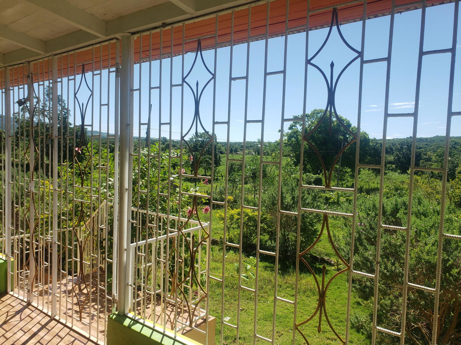 Twentieth image of Newell, St. Elizabeth in Newell, St. Elizabeth, Jamaica - property is For Sale