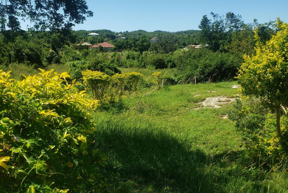 Twenty-Third image of Newell, St. Elizabeth in Newell, St. Elizabeth, Jamaica - property is For Sale