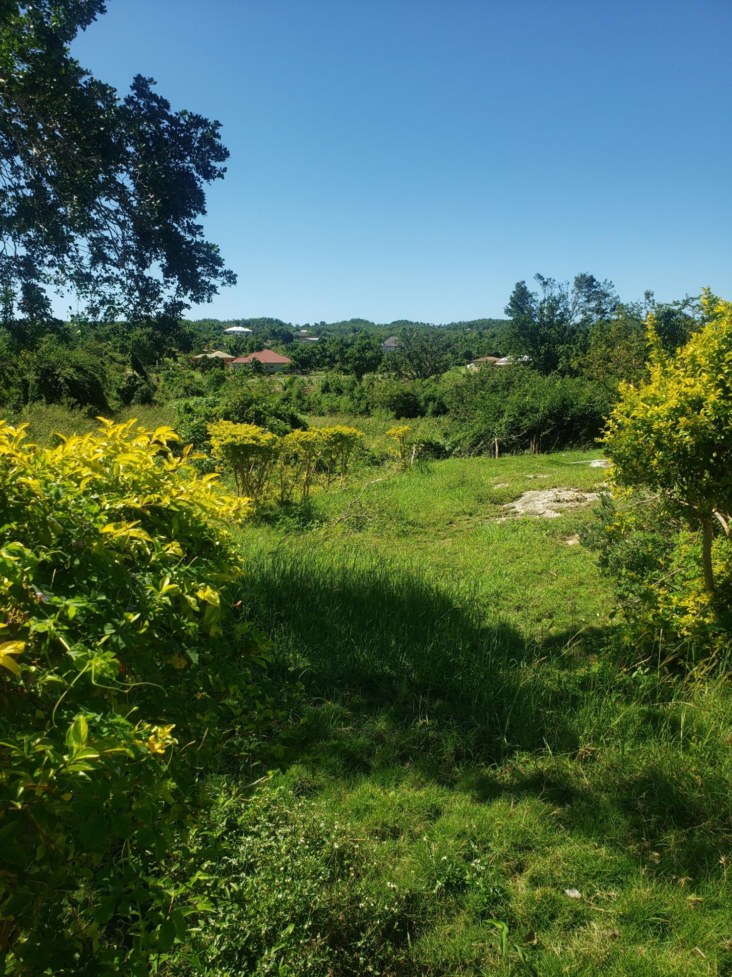 Twenty-Third image of Newell, St. Elizabeth in Newell, St. Elizabeth, Jamaica - property is For Sale