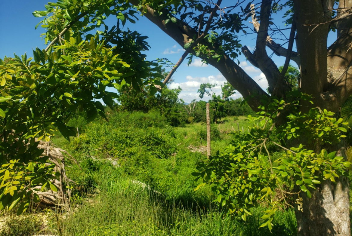 Twenty-Fourth image of Newell, St. Elizabeth in Newell, St. Elizabeth, Jamaica - property is For Sale