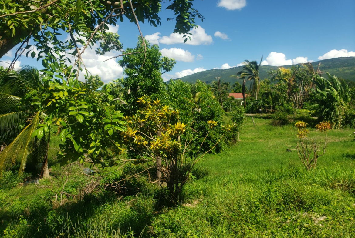 Twenty-Fifth image of Newell, St. Elizabeth in Newell, St. Elizabeth, Jamaica - property is For Sale